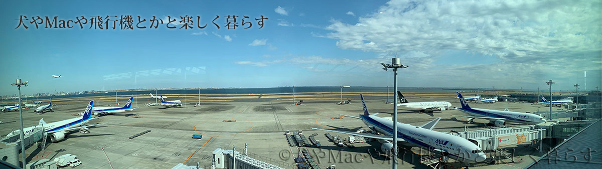 犬やMacや飛行機とかと楽しく暮らす